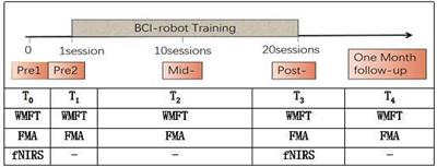 Brain–Computer Interface-Robot Training Enhances Upper Extremity Performance and Changes the Cortical Activation in Stroke Patients: A Functional Near-Infrared Spectroscopy Study